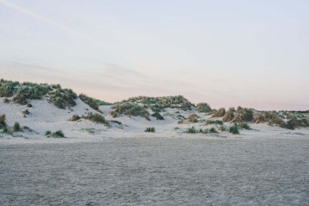 Dunes in the Netherlands