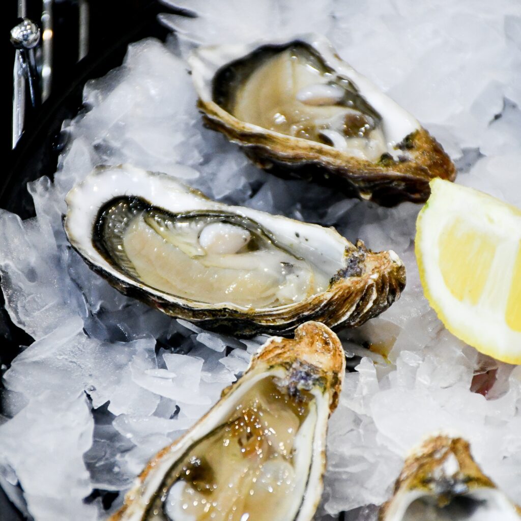 Oysters on ice.
